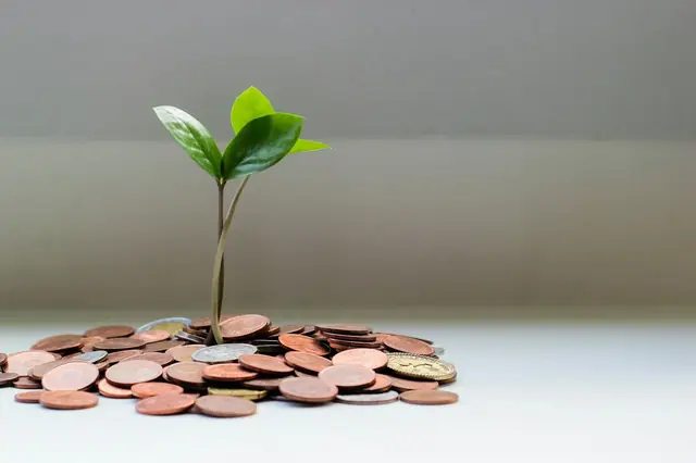 A seedling growing among coins, representing careful payment preparation